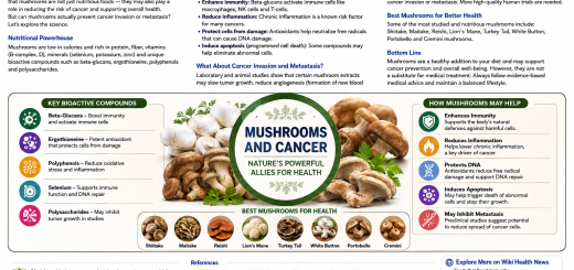 Mushrooms and Cancer: Health Infographic