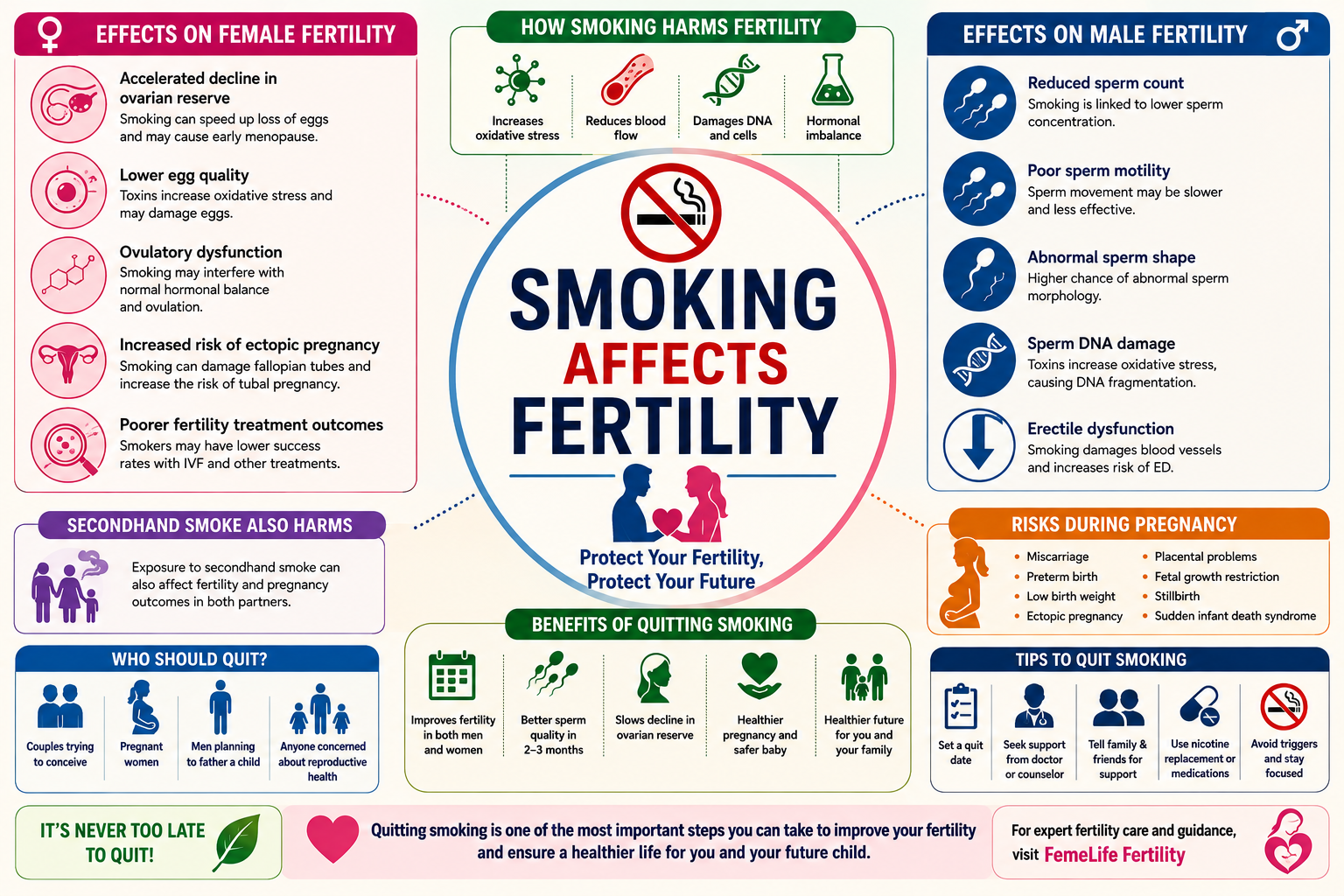 Smoking’s Impact on Fertility Infographic