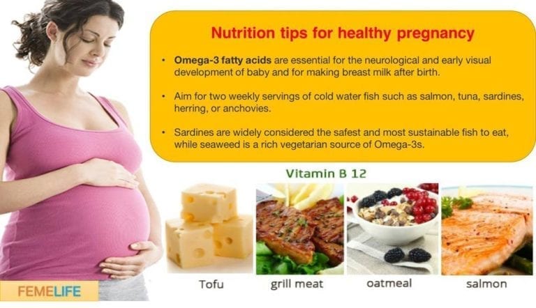 Pregnancy and Protein - wiki Health News