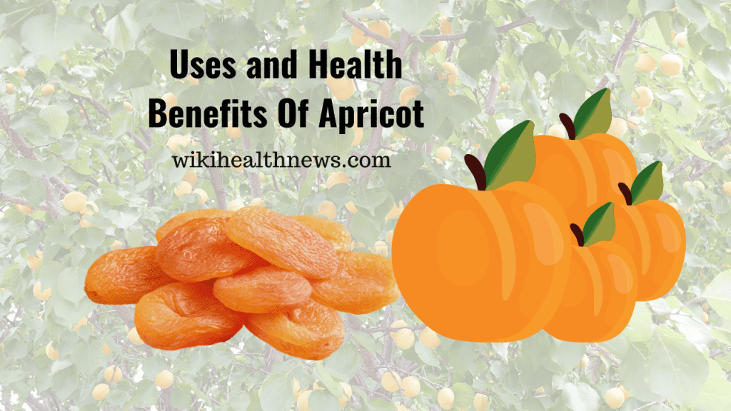 Apricot Uses And Health Benefits Wiki Health News 8912