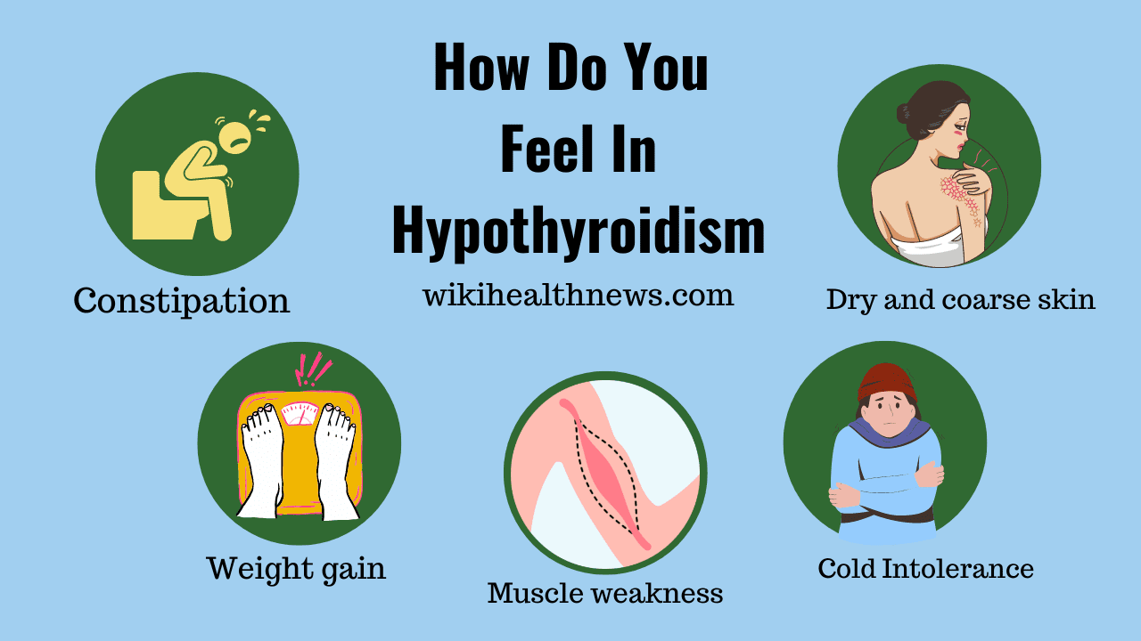 Hypothyroidism: Underactive Thyroid Gland - wiki Health News