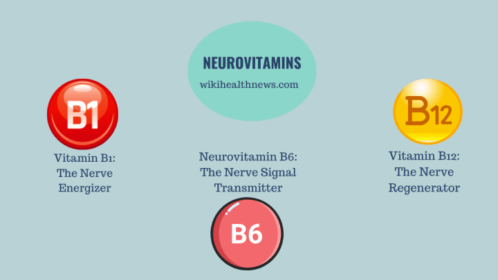 Know About Neurovitamins & Their Sources - wiki Health News