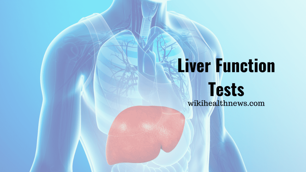 liver-function-test-check-the-health-of-liver-wiki-health-news