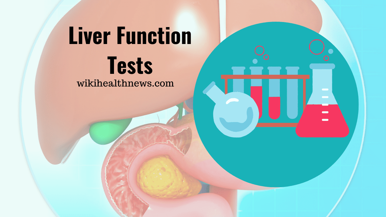 Liver Function Test Check The Health Of Liver Wiki Health News