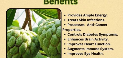 Custard Apple