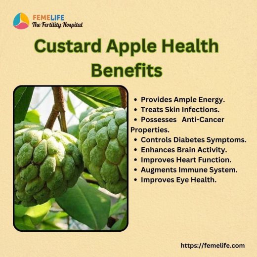 Custard Apple