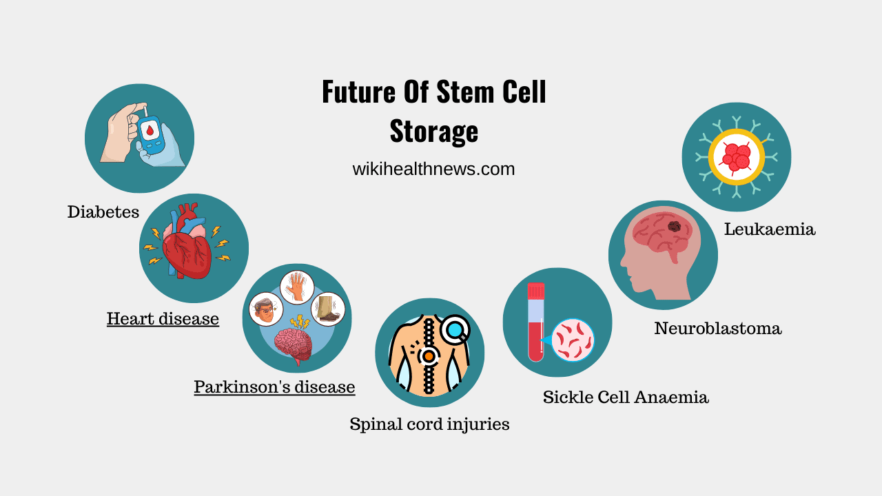 Stem Cell Storage