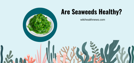 Seaweeds