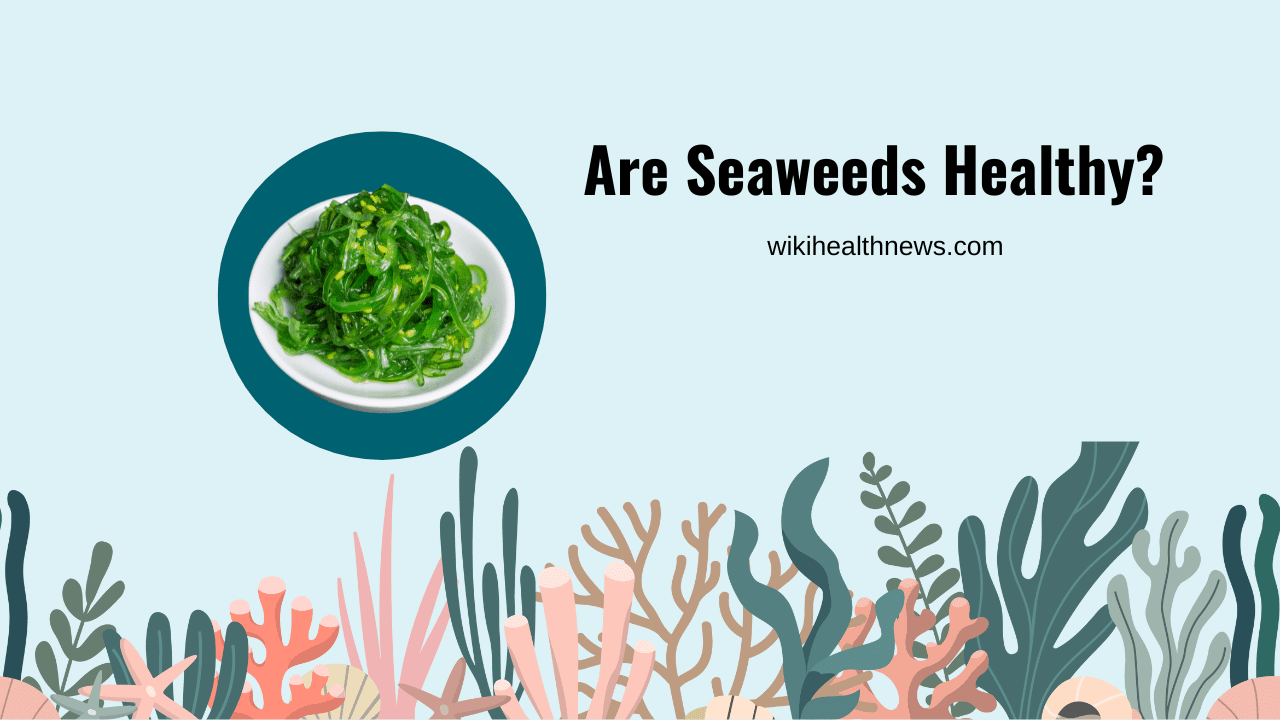 Seaweeds