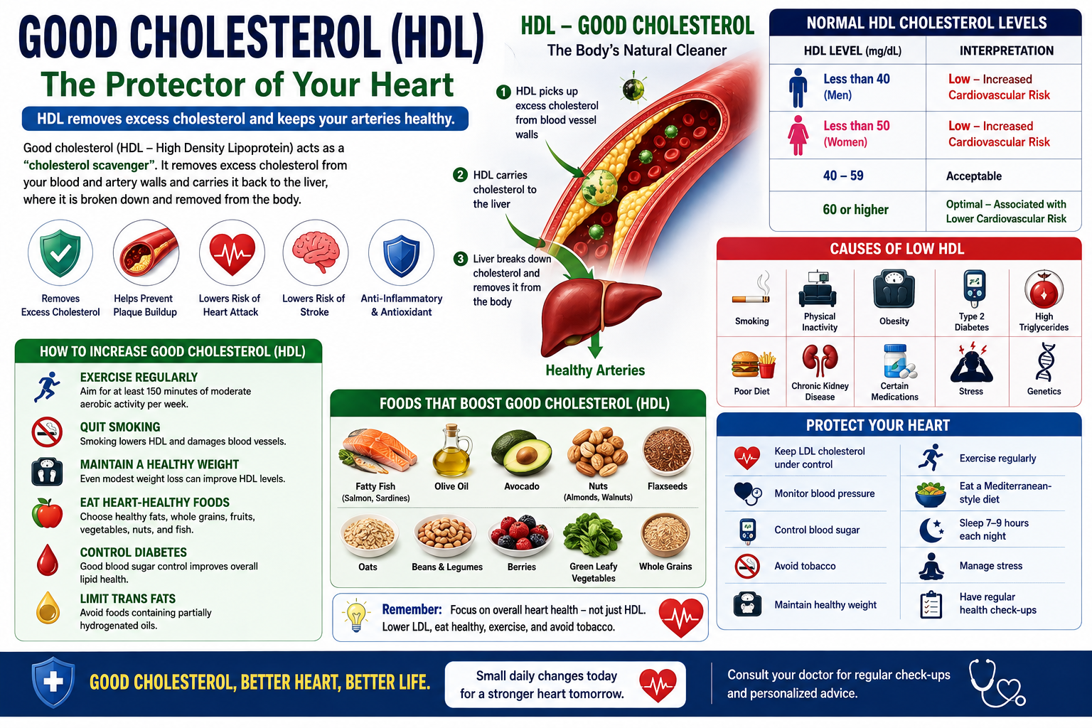Good Cholesterol