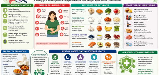 Top 10 Probiotic Foods for a Healthy Gut and Strong Immunity