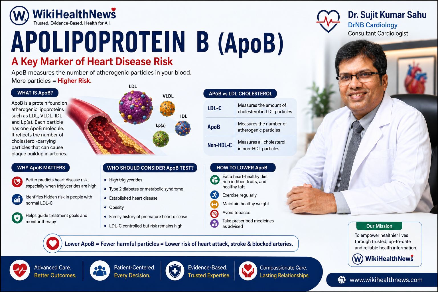 ApoB: Key Marker of Heart Disease Risk
