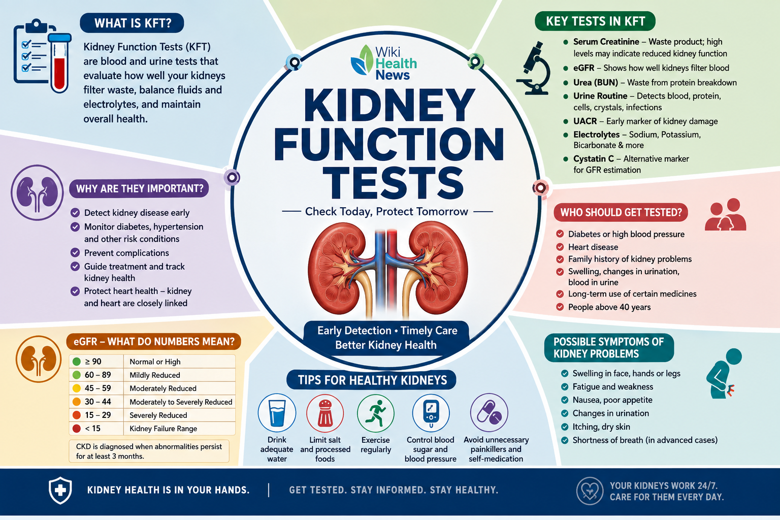 Kidney Function Tests Infographic
