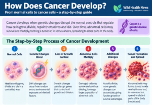 How does cancer develop